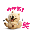 サモエドスタンプ vol.1（個別スタンプ：30）