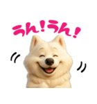 サモエドスタンプ vol.1（個別スタンプ：33）