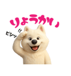 サモエドスタンプ vol.1（個別スタンプ：37）