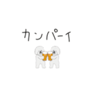 動くビションフリーゼ 6弾（個別スタンプ：6）
