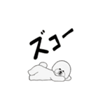 動くビションフリーゼ 6弾（個別スタンプ：9）