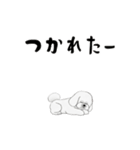 動くビションフリーゼ 6弾（個別スタンプ：11）