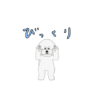 動くビションフリーゼ 6弾（個別スタンプ：13）