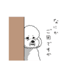 動くビションフリーゼ 6弾（個別スタンプ：21）
