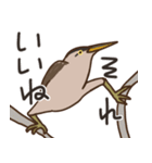 ヨシ・ゴイ（個別スタンプ：9）