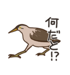 ヨシ・ゴイ（個別スタンプ：11）