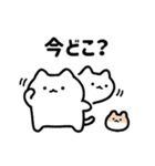 ゆるねことハム9【家族で使える連絡用】（個別スタンプ：9）