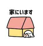 ゆるねことハム9【家族で使える連絡用】（個別スタンプ：10）