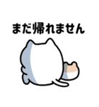 ゆるねことハム9【家族で使える連絡用】（個別スタンプ：14）