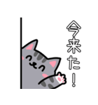 餅つき用！猫スタンプ第2弾♪（個別スタンプ：5）