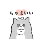 ぽんぽこすーちゃん（個別スタンプ：3）