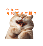 笑顔ネコ vol.1－小馬鹿シリーズ（個別スタンプ：1）
