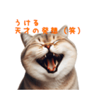 笑顔ネコ vol.1－小馬鹿シリーズ（個別スタンプ：6）