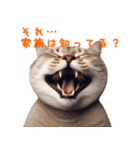 笑顔ネコ vol.1－小馬鹿シリーズ（個別スタンプ：7）