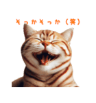 笑顔ネコ vol.1－小馬鹿シリーズ（個別スタンプ：10）