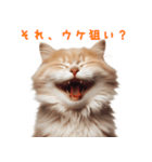 笑顔ネコ vol.1－小馬鹿シリーズ（個別スタンプ：12）