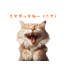 笑顔ネコ vol.1－小馬鹿シリーズ（個別スタンプ：14）