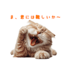 笑顔ネコ vol.1－小馬鹿シリーズ（個別スタンプ：15）