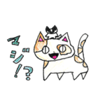 ニャンニャンニャンニャンニャンスタンプ（個別スタンプ：14）