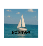 海、プール、湖のスタンプ（個別スタンプ：7）