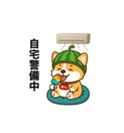 コーギーまいまい その6(修正版)（個別スタンプ：2）
