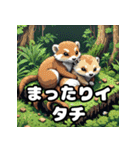 表情豊かなイタチ40種スタンプセット（個別スタンプ：26）