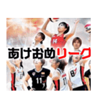 ⭐架空のバレーボール選手で日常会話（個別スタンプ：39）