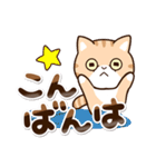 エキゾチック【敬語】（個別スタンプ：8）