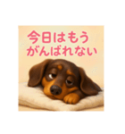 ダックスは正義！！（個別スタンプ：2）