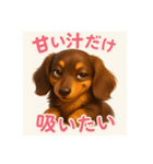 ダックスは正義！！（個別スタンプ：4）