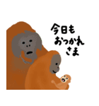ふんわりウータンズの日常スタンプ 日本語（個別スタンプ：24）