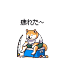 釣りが大好き太っちょ柴犬（個別スタンプ：12）