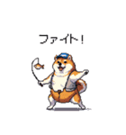 釣りが大好き太っちょ柴犬（個別スタンプ：37）