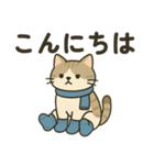 冬 寒がりねこさん（個別スタンプ：1）