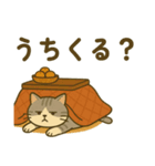 冬 寒がりねこさん（個別スタンプ：2）