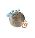 パンジー小太郎（個別スタンプ：3）