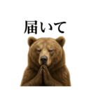 お祈りするリアルなヒグマのLINEスタンプ（個別スタンプ：11）