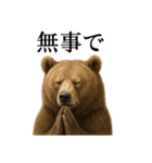 お祈りするリアルなヒグマのLINEスタンプ（個別スタンプ：15）