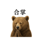 お祈りするリアルなヒグマのLINEスタンプ（個別スタンプ：16）