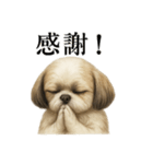 お祈りするシーズーのリアルなLINEスタンプ（個別スタンプ：2）