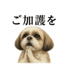 お祈りするシーズーのリアルなLINEスタンプ（個別スタンプ：4）