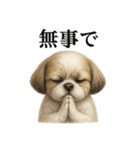 お祈りするシーズーのリアルなLINEスタンプ（個別スタンプ：7）