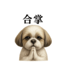 お祈りするシーズーのリアルなLINEスタンプ（個別スタンプ：8）