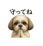 お祈りするシーズーのリアルなLINEスタンプ（個別スタンプ：10）
