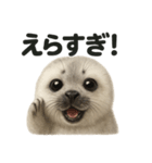 【褒め上手】リアルすぎるワモンアザラシ（個別スタンプ：1）