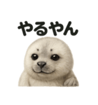 【褒め上手】リアルすぎるワモンアザラシ（個別スタンプ：2）