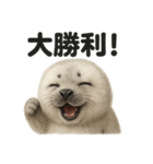 【褒め上手】リアルすぎるワモンアザラシ（個別スタンプ：4）