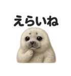 【褒め上手】リアルすぎるワモンアザラシ（個別スタンプ：7）