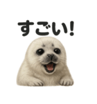 【褒め上手】リアルすぎるワモンアザラシ（個別スタンプ：8）