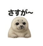 【褒め上手】リアルすぎるワモンアザラシ（個別スタンプ：10）